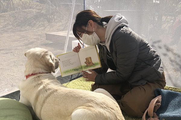 動物介在活動