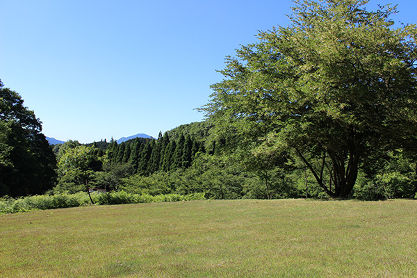 ペットのお見送り（樹木葬）